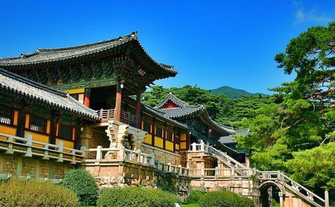 Gyeongju Private Cultural Tour with Local Guide from Busan