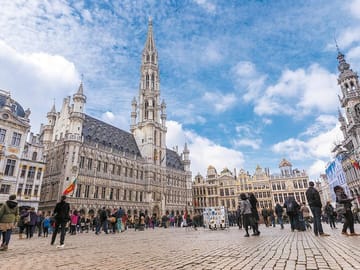 Private Walking Tour of Brussels' Historical City Center