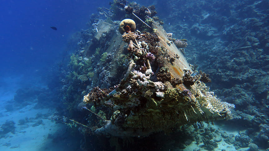 boat-dive-course-nemo-diving-center