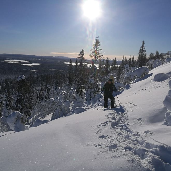 Feel the nature of an Arctic Mountain photo 2
