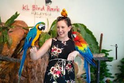 KL Bird Park and Butterfly Park Nature Tour in Kuala Lumpur