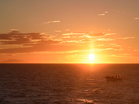 Premium Whales & Midnight Sun, photo 2