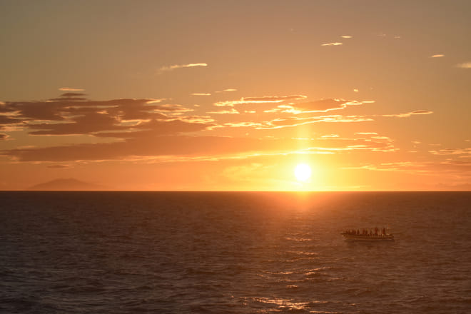Premium Whales & Midnight Sun 2