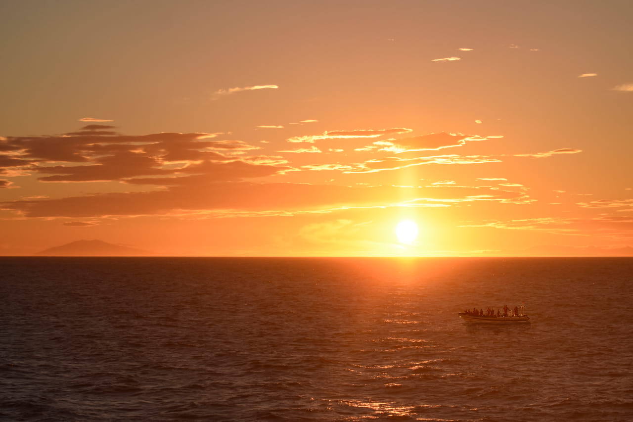 Premium Whales & Midnight Sun 2