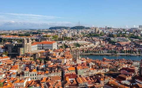 Private Half-Day Porto City Tour with Wine Tasting