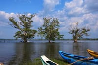 Anuradhapura Day Tour From Sigiriya 8