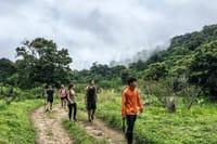 Chiang Mai 24km Suthep National Park Hiking & DH Mountain Biking 7