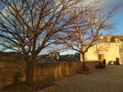 Arles et Les-Baux-de-Provence...  the splendor of Provence lifestyle 6
