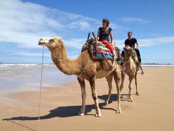 From Tangier: Cap Spartel and Hercules Cave with Camel Ride