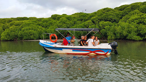 Maha Oya River Boat safari & Hamilton Canal in Negombo 5