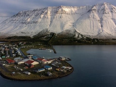 Private Dynjandi Waterfall & Iceland’s Oldest Bookstore Westfjords Tour, photo 3