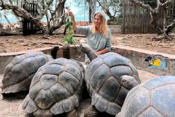 Giant Tortoise and History Tour on Prison Island, Zanzibar