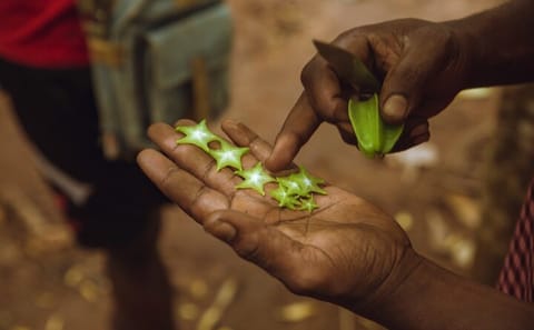 Zanzibar: The Taste of Africa’s Spice Islands