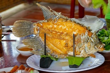 10 Days Cultural Odyssey From South To North Vietnam