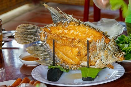 10 Days Cultural Odyssey From South To North Vietnam