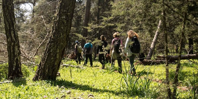 Hiking Tour Akramitis Mountain 6
