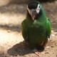 Bird Park