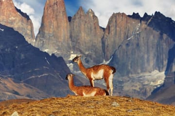 Full Day Torres del Paine & Milodon