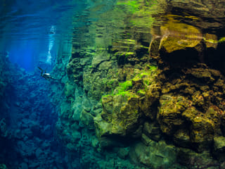 Deep Into the Blue - Silfra Diving from Reykjavík, photo 18