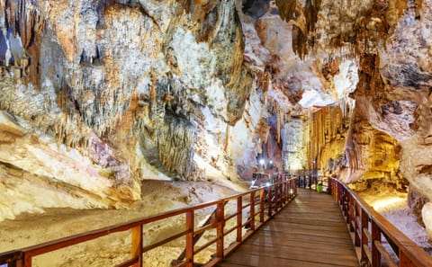Guided Tour of Botanic Garden, Paradise Cave and Dark Cave in Vietnam