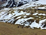 Ausangate and Rainbow Mountain Trek 4D/3N 2