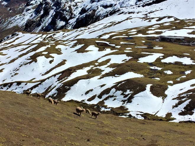 Ausangate and Rainbow Mountain Trek 4D/3N 2