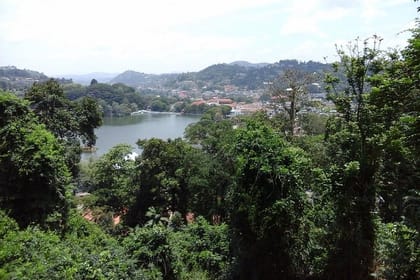 Udawatte Kele Santuary with Nature Walk from Kandy