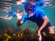 Snorkeling Tour: Discover Sydney’s impressive sea life 4