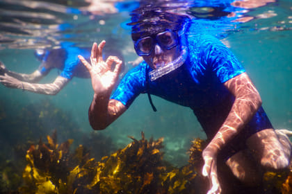 Snorkeling Tour: Discover Sydney’s impressive sea life