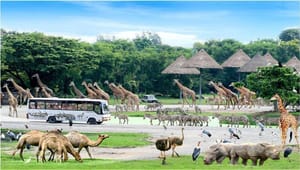 BANGKOK: Join Tour: Full Day Tour Safari World - Marine Park - Buffet Lunch with Private Transfer