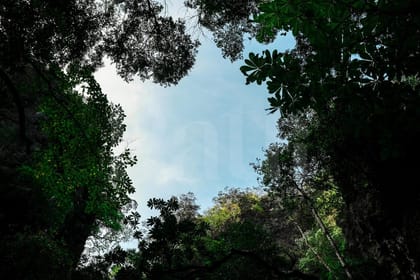 Phuket: Sunset Seafood Dinner Cruise in Phang Nga Bay by Big Boat