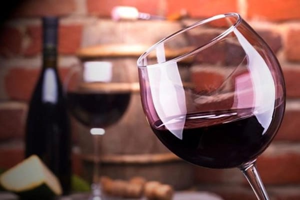 Mendoza Wine Route A Full Day Private Excursion