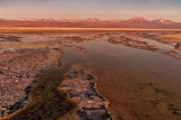 San Pedro de Atacama, Laguna de Chaxa and Toconao - Half day 3