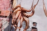 PHU QUOC NIGHT SQUID FISHING BOAT EXPERIENCE 4