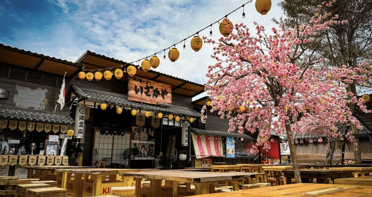 Hidden Japanese Style Cafe in Bangsaen (Airplane Cafe, Fish Market)