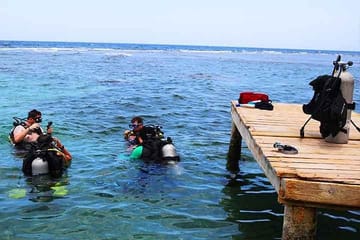 Shore Diving and Snorkeling Tour in Flowers Bay, Honduras