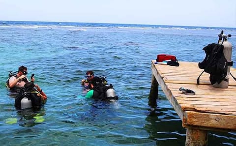 Shore Diving and Snorkeling Tour in Flowers Bay, Honduras