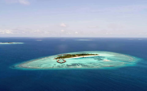 Mange Sandbank Trip at Mafia Island