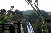 1-Day Aberdare Safari 5