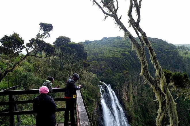 1-Day Aberdare Safari 5