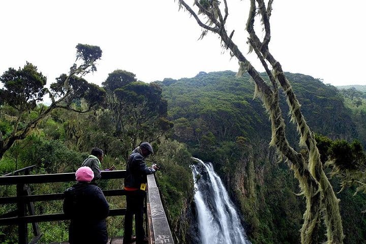 1-Day Aberdare Safari 5