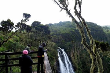 Day Safari Adventure in Aberdare National Park from Nairobi