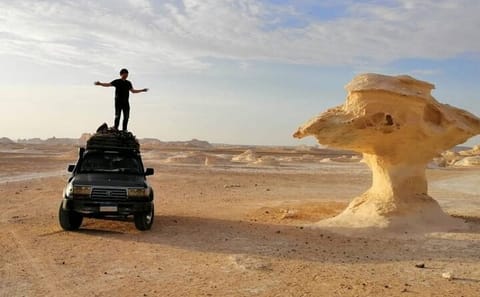Bahariya Oasis Desert Safari and Camping Tour from Cairo