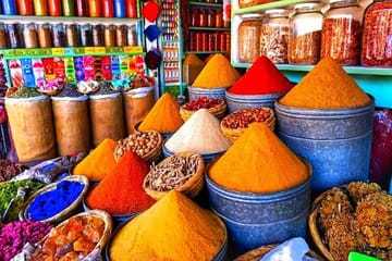 Highlights of Marrakech: Private Half-Day City Tour