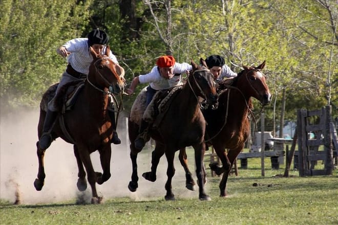 Buenos Aires Super Saver: City Tour, Gaucho Day at a Farm & Tango Dinner-Show 6