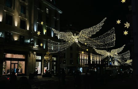 Christmas Lights and Festive Sights Tour in London