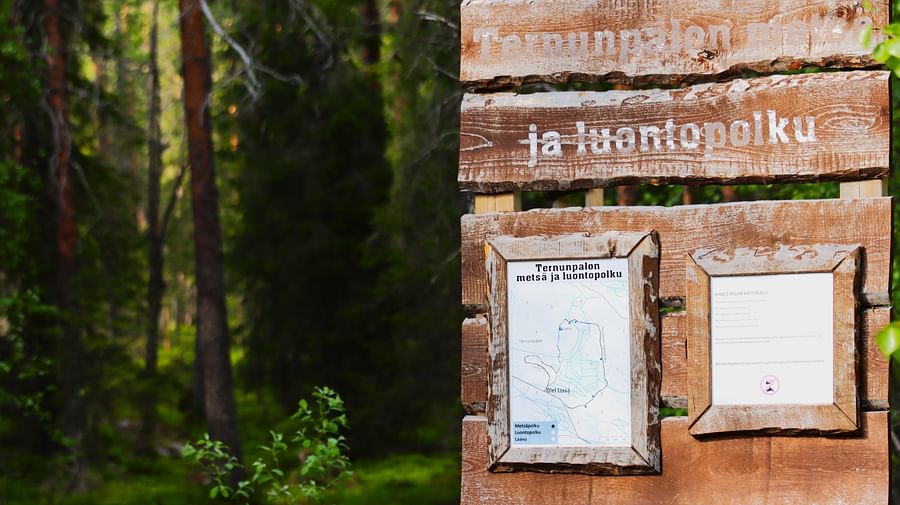 Forest hiking tour, Pure Lapland, Rovaniemi Lapland