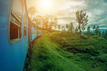 7-Day Hill Country Adventure Tour in Colombo, Sri Lanka