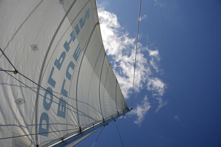 Public Catamaran Tour for Dolphin Watching in Tamarindo