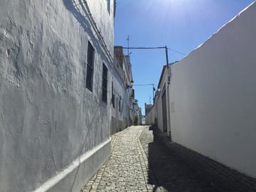 Cádiz and Jerez Day Tour from Seville with Tastings
